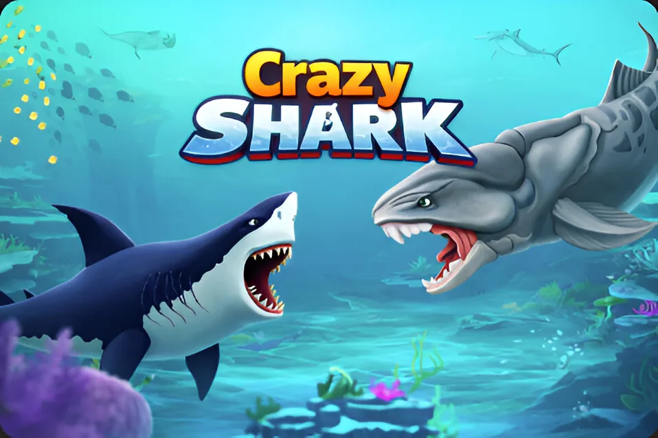 Crazy Shark cover