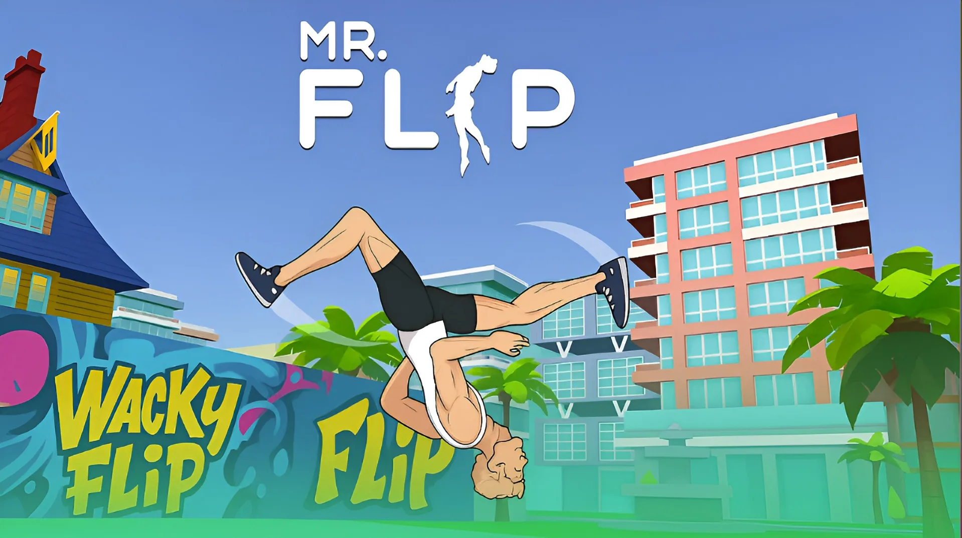 Mr Flip cover